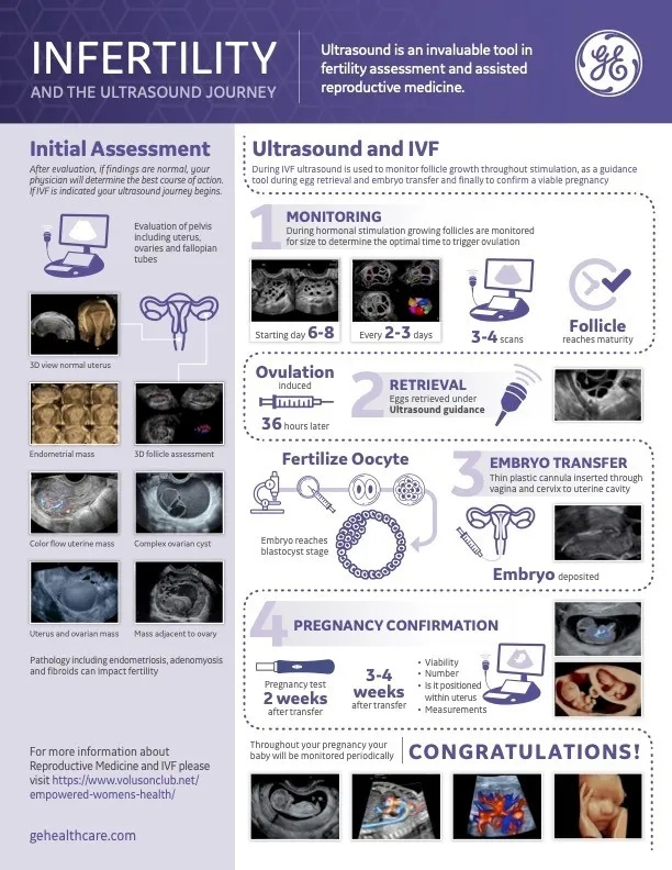  Infertility & the Ultrasound Journey