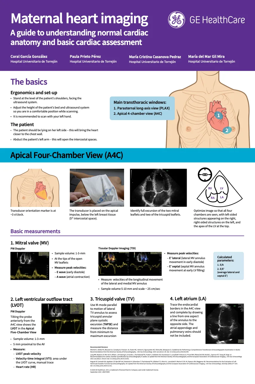 Maternal heart imaging