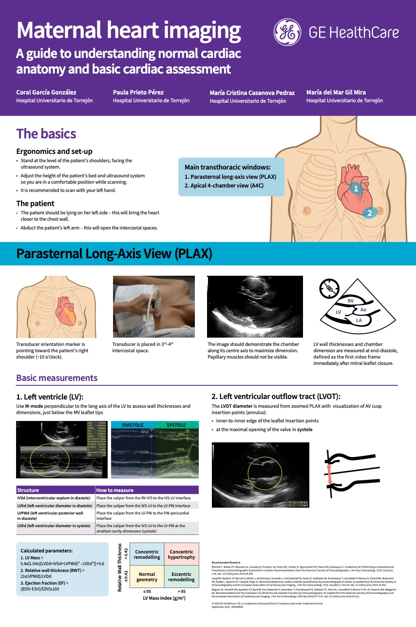  Maternal heart imaging